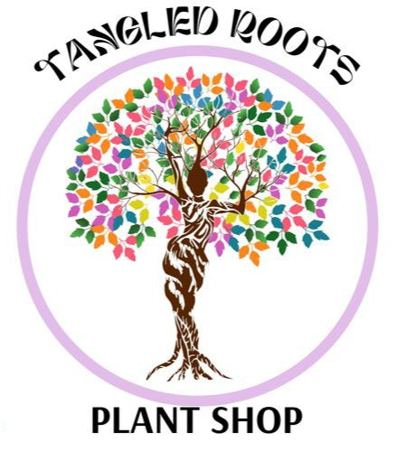 Tangled Roots plant shop